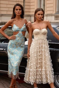 Mariposa Dress -Highend Dresses 32 35362324 dbab 488f 9518 25dc9cfe8b4e