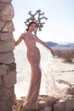 Tyra Glitter Cape Gown - Rose Gold -Highend Dresses 51 d2e4e2fc 3c0f 49f5 a0ed 5b7333e379cc