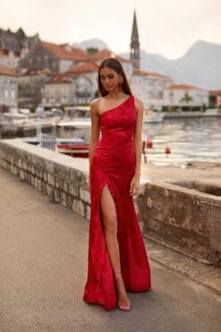 Mirela Gown 11 Mirela Gown -Highend Dresses 73 8404adfa de18 4959 a36b f591cb0cc1af